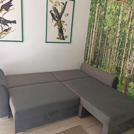 Studio Lesne Lubniewice Kültér fotó